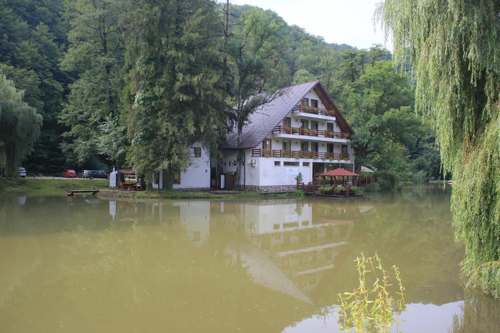 Guest House Lacul Linistit Moneasa Phòng bức ảnh