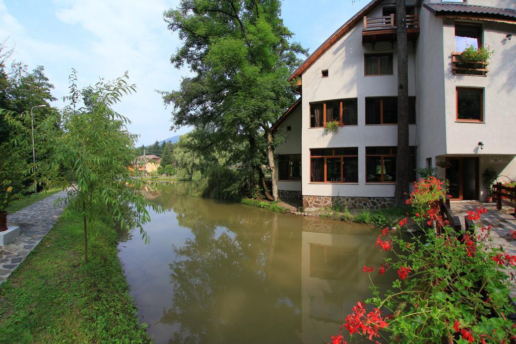 Guest House Lacul Linistit Moneasa Ngoại thất bức ảnh